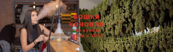 не бодяженный Чекалин