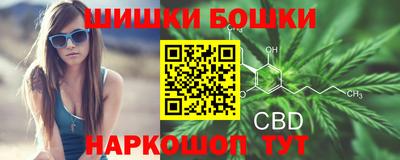 дмт Канаш