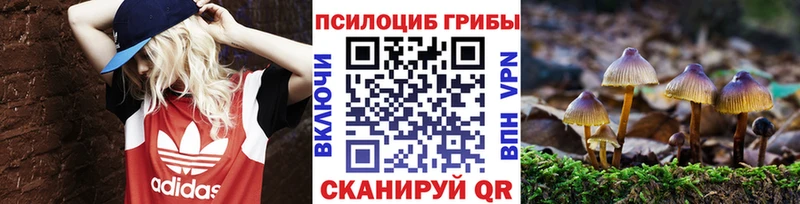 Галлюциногенные грибы мицелий  Шебекино 