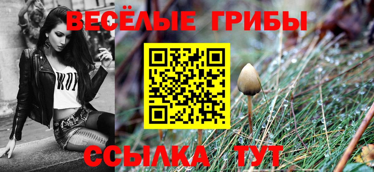 МЕФ Шебекино