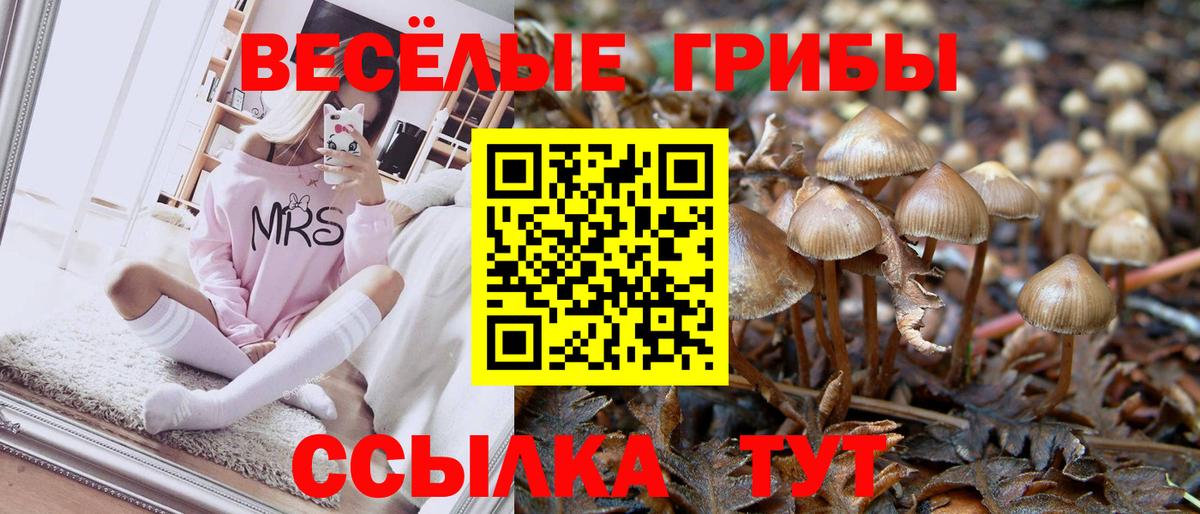Галлюциногенные грибы мухоморы Шебекино