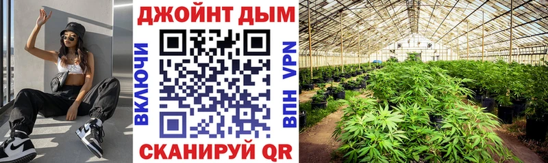ОМГ ОМГ ТОР  Шебекино  Бошки марихуана Amnesia  купить  